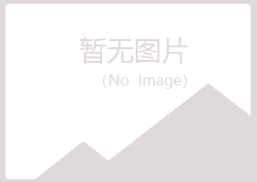 麻山区松手建设有限公司